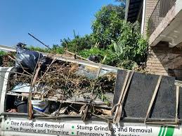 Best Donation Pickup Services  in Pleasant Ridge, MI